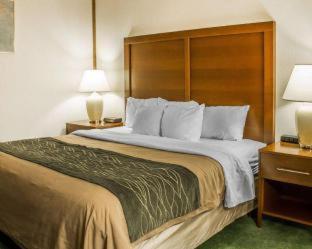 Comfort Inn - Manistique - 4