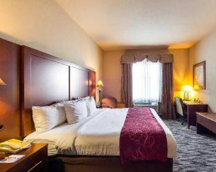 Comfort Suites At Plaza Mall - McAllen - 4