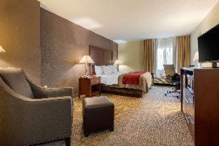 Comfort Inn Warren I-69 - Warren - 3