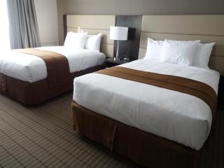 Ramada by Wyndham Ottawa On The Rideau - 8