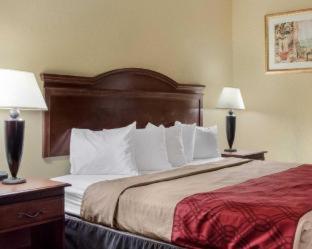 Econo Lodge by choice Greenville - Greenville - 6