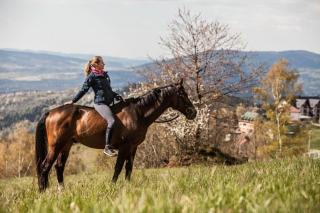 Hotel Rancho Pcim - 3