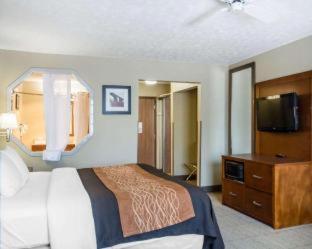 Comfort Inn Bellefontaine - Bellefontaine - 7