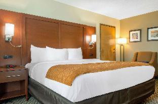 Comfort Inn & Suites Biloxi-D'Iberville - 7