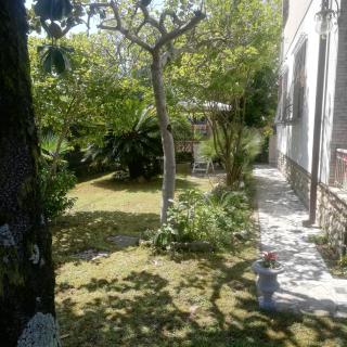 Magnolia - Pietrasanta - 8