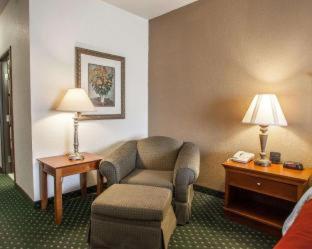 Comfort Inn & Suites Davenport - Quad Cities - Davenport - 6