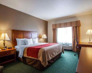 Comfort Inn & Suites Davenport - Quad Cities - Davenport - 2