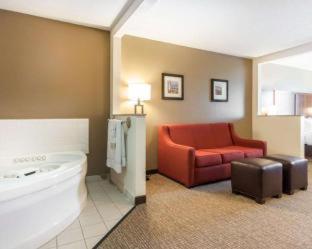 Comfort Suites Airport - Boise - 9