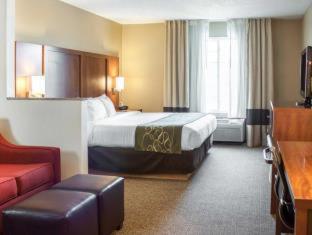 Comfort Suites Airport - Boise - 3