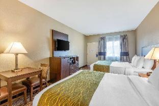 Comfort Inn & Suites Orange County John Wayne Airport - 9