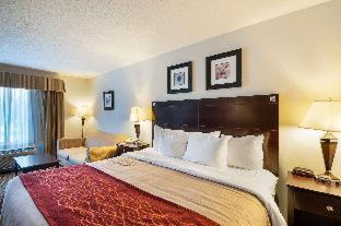 Comfort Inn & Suites Cambridge - Cambridge - 1
