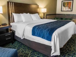 Comfort Inn & Suites Butler - Butler - 2