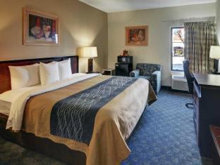 Quality Inn & Suites Irving DFW Airport South - 3