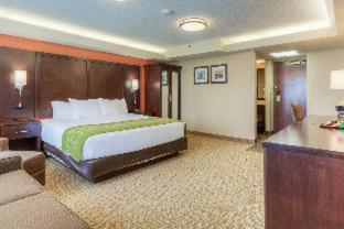 Comfort Inn & Suites Evansville Airport - 8