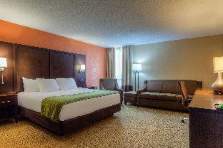 Comfort Inn & Suites Evansville Airport - 4