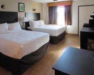 Quality Inn & Suites near Downtown Bakersfield - Bakersfield - 7