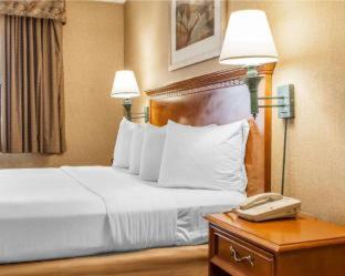 SureStay Plus Hotel by Best Western McGuire AFB Jackson - Cookstown - 4