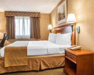 SureStay Plus Hotel by Best Western McGuire AFB Jackson - Cookstown - 3