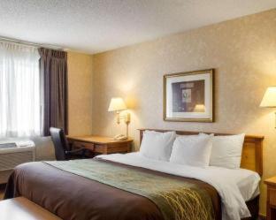 Quality Inn - 8