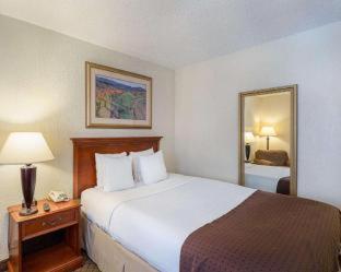 GreenTree Hotel & Extended Stay I-10 FWY Houston, Channelview, Baytown - Channelview - 9