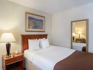 GreenTree Hotel & Extended Stay I-10 FWY Houston, Channelview, Baytown - Channelview - 3