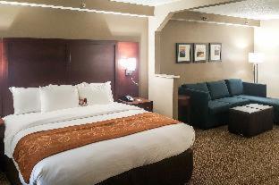 Comfort Suites Knoxville Airport - 9