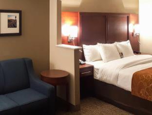 Comfort Suites Knoxville Airport - 6