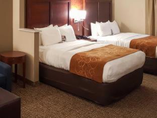 Comfort Suites Knoxville Airport - 1