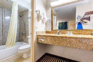 Quality Inn Columbia Airport - West Columbia - 9