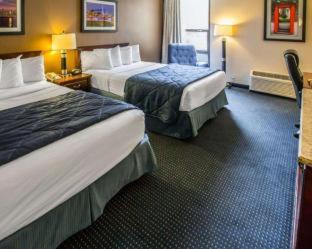 Quality Inn Schaumburg - Chicago near the Mall - Schaumburg - 2