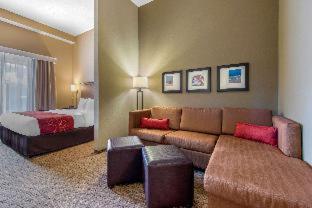 Comfort Suites Sarasota-Siesta Key - 8