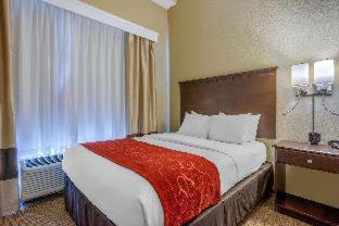 Comfort Suites Sarasota-Siesta Key - 3