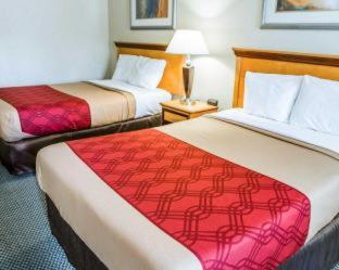 Econo Lodge Whiteville - Whiteville - 7
