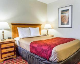 Econo Lodge Whiteville - Whiteville - 3