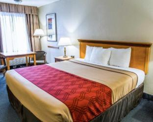 Econo Lodge Whiteville - Whiteville - 1