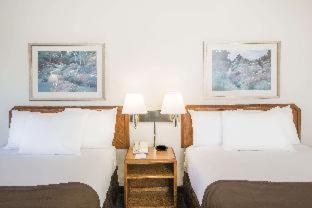 Baymont by Wyndham Wilmington - 8