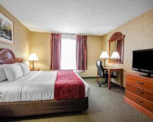 Quality Inn & Suites Rockport-Owensboro North GOLD AWARD WINNER - Rockport - 4