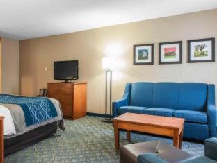 Comfort Inn & Suites Napoleon - Napoleon - 5
