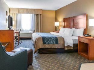 Comfort Inn & Suites Napoleon - Napoleon - 1