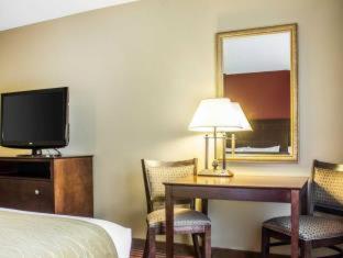 Comfort Inn & Suites - 6