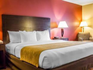 Comfort Inn & Suites - 5
