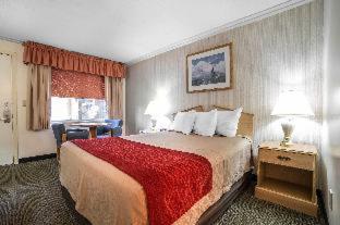 Rodeway Inn Pronghorn Lodge - 4