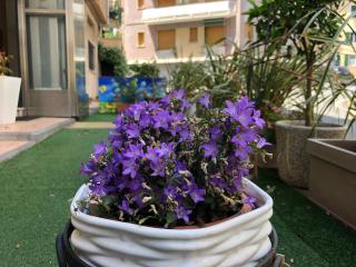 Casa Vacanze Isophylla - Finale Ligure - 3