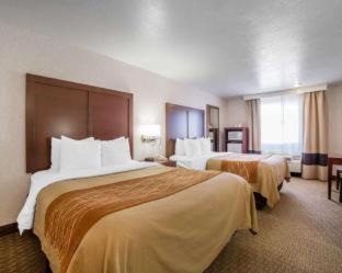Comfort Inn Elko - Elko - 7