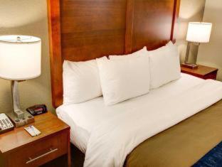 Comfort Inn Conference Center Philadelphia Penn Hills - 8