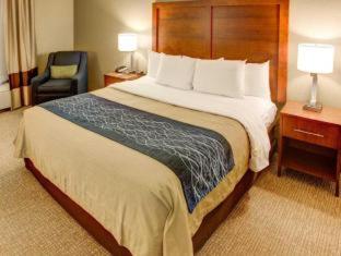 Comfort Inn Conference Center Philadelphia Penn Hills - 6