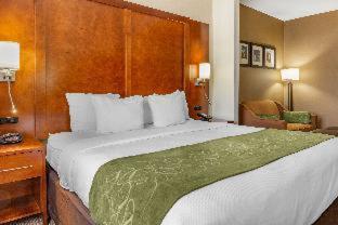 Comfort Suites Dover University Area - 7