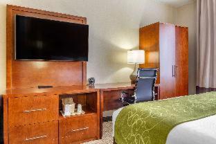 Comfort Suites Dover University Area - 6