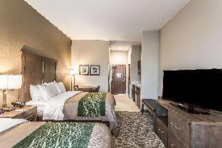 Comfort Inn & Suites Snyder - Snyder - 7