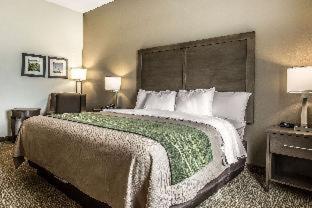 Comfort Inn & Suites Snyder - Snyder - 1